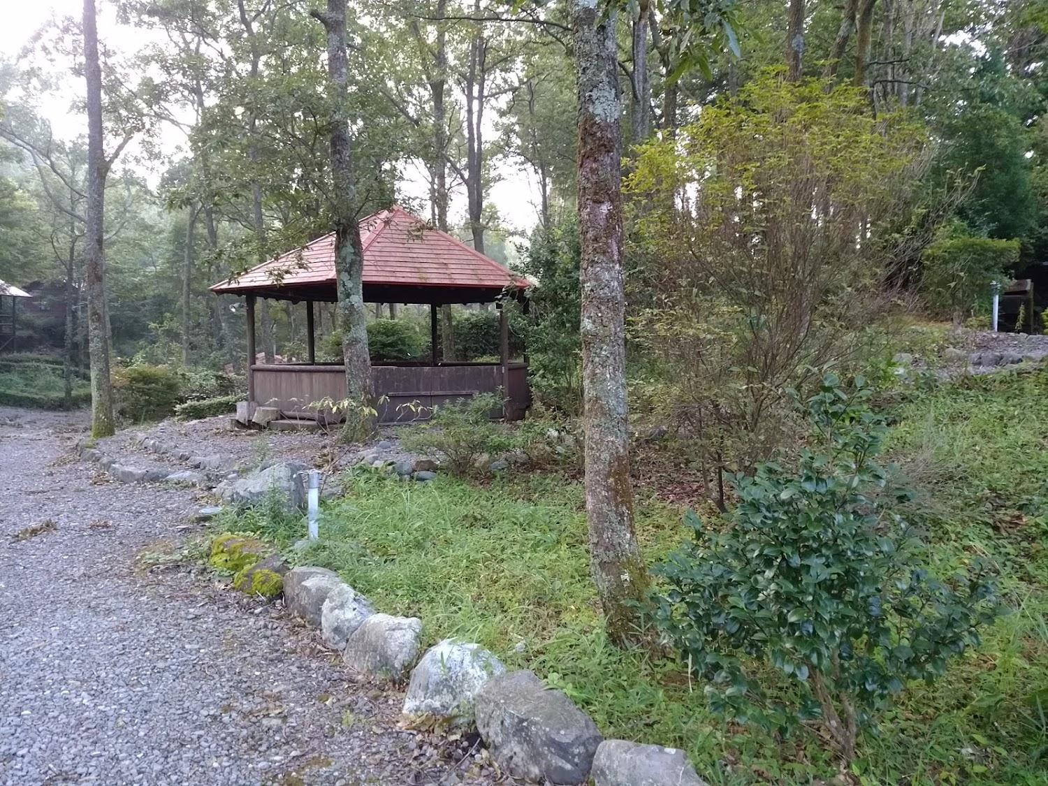 Cover Image for Nature Resort with Skylodge