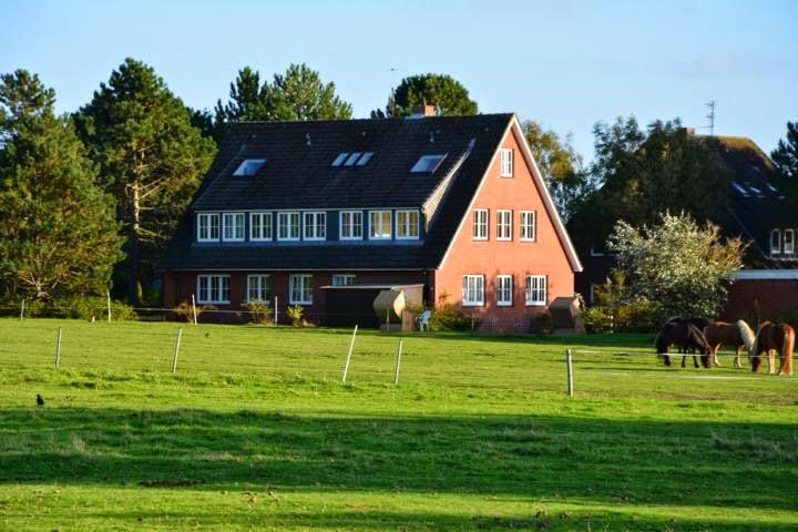 Cover Image for Haus Pax