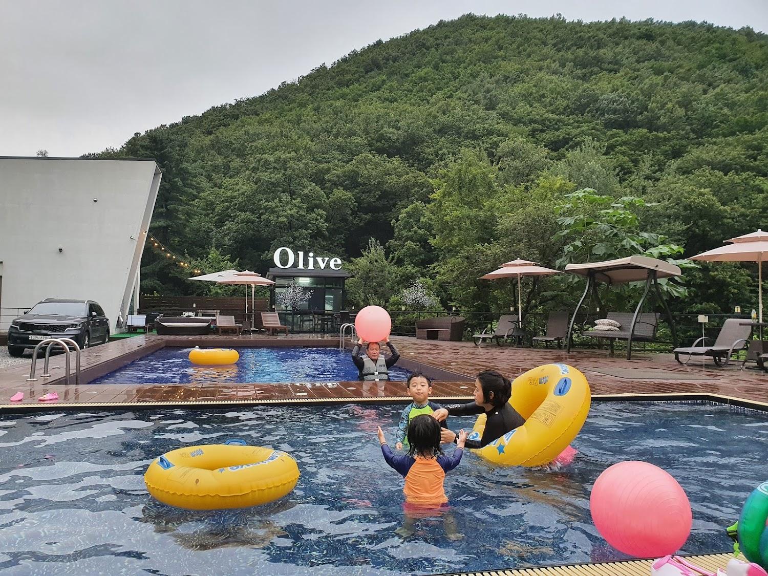 Cover Image for Olive Pool Villa