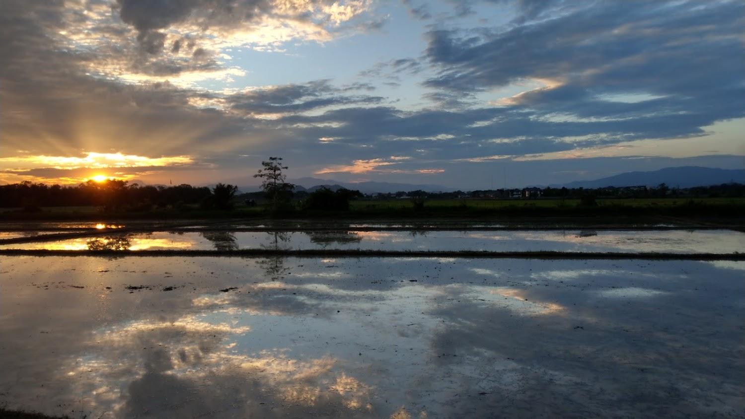 Cover Image for บ้านคำหอมกุล
