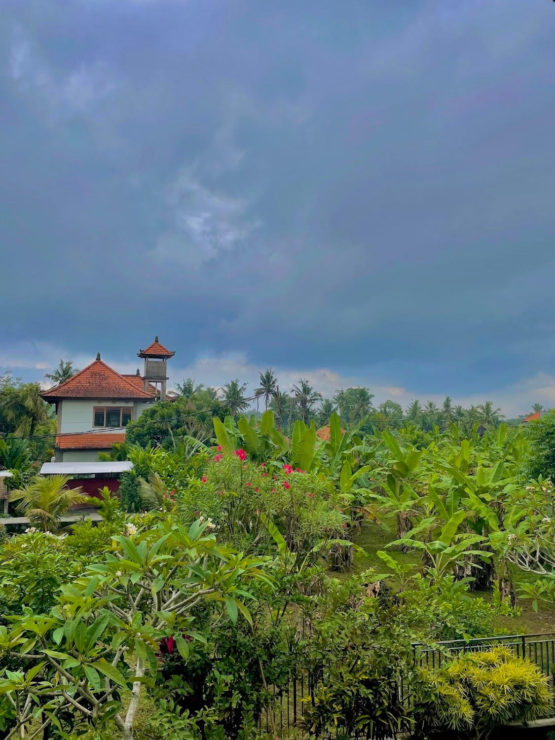 Cover Image for Duana Sari