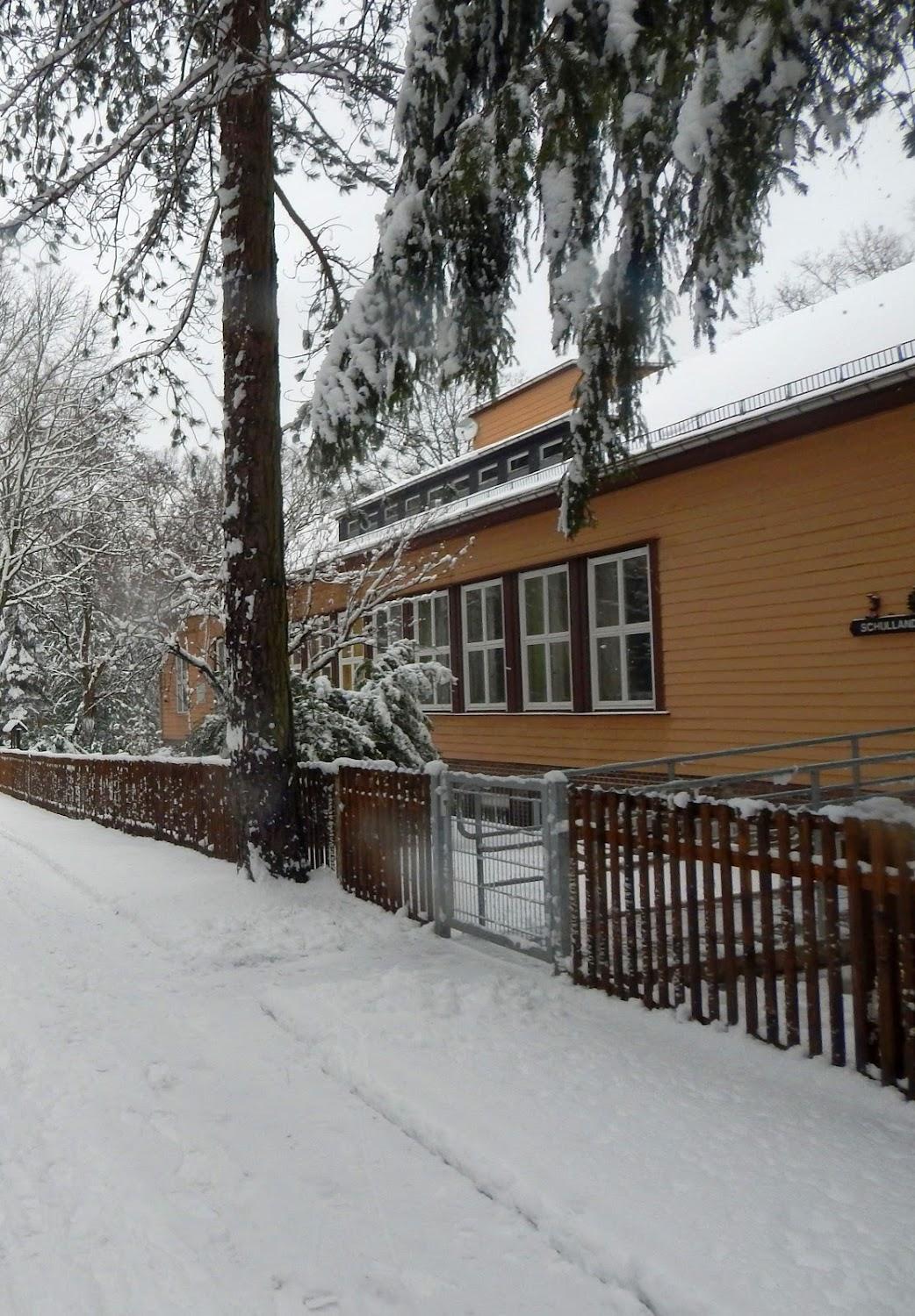 Cover Image for School camp in Küchwald