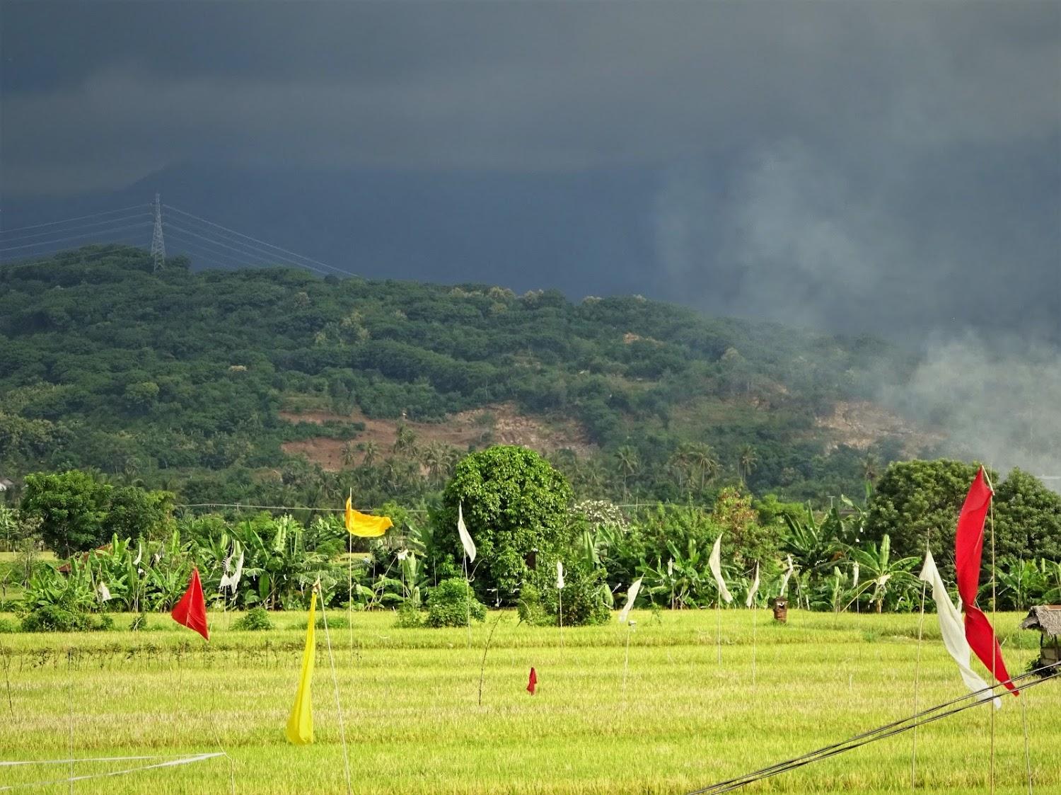 Cover Image for Mayo Resort North Bali