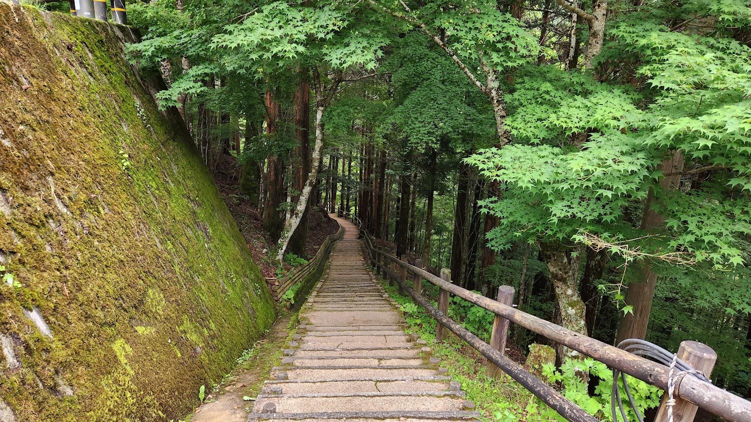 Cover Image for Okuiyanijukazurabashi Camping Ground