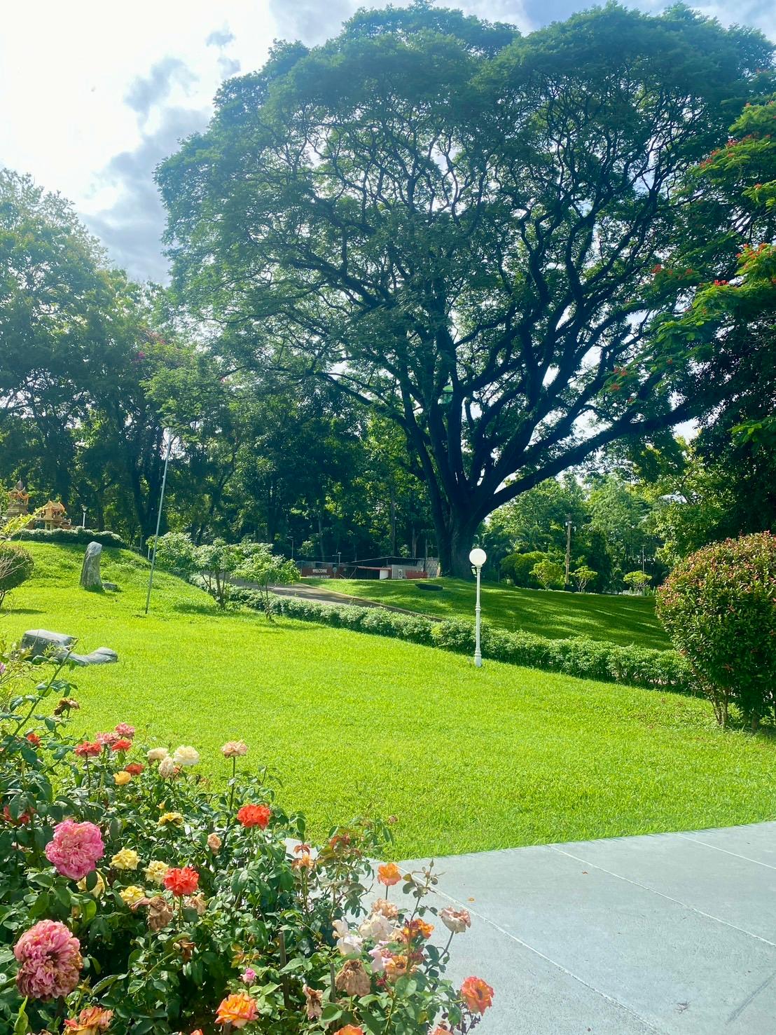 Cover Image for Wang Tarn Resort