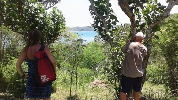 Cover Image for Crispycool Homestay Lombok