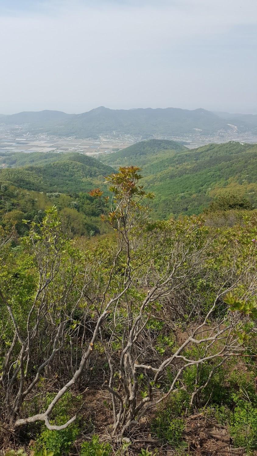 Cover Image for 뮤즈 캠핑장