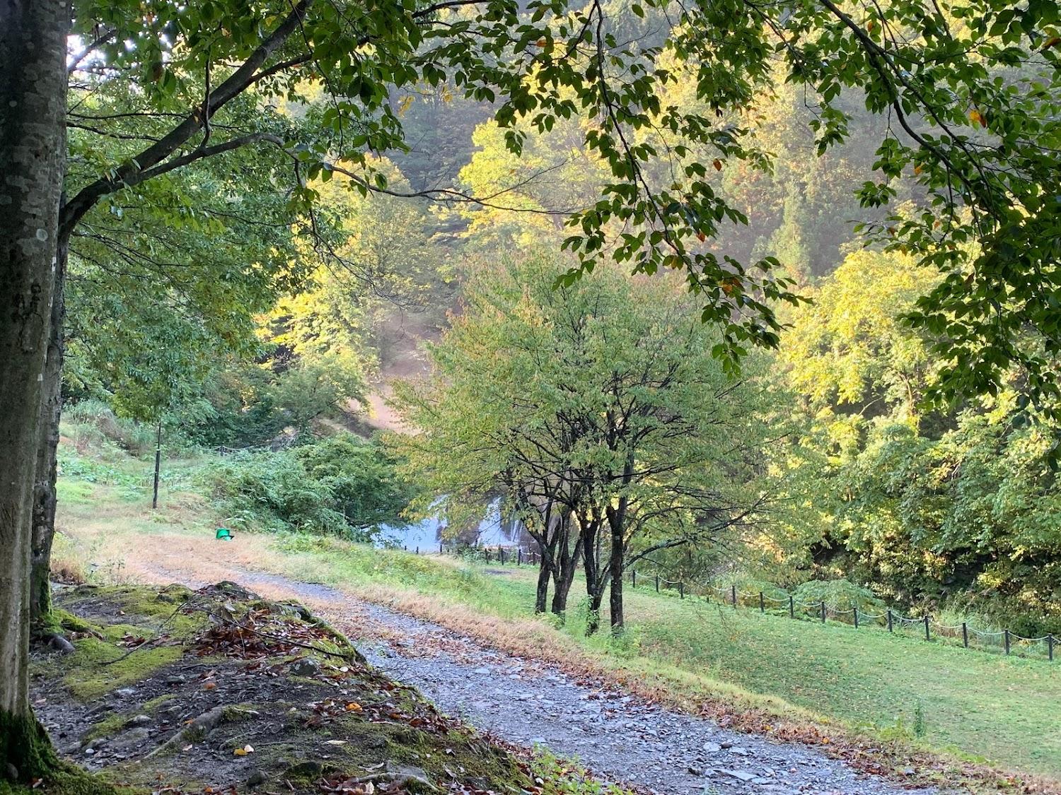 Cover Image for Daigenta Canyon Camping Ground