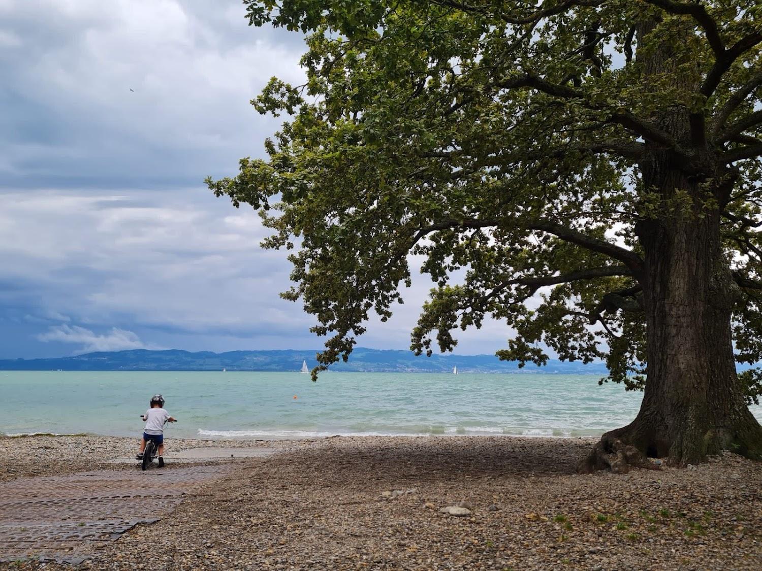 Cover Image for Camping Park Gohren am Bodensee