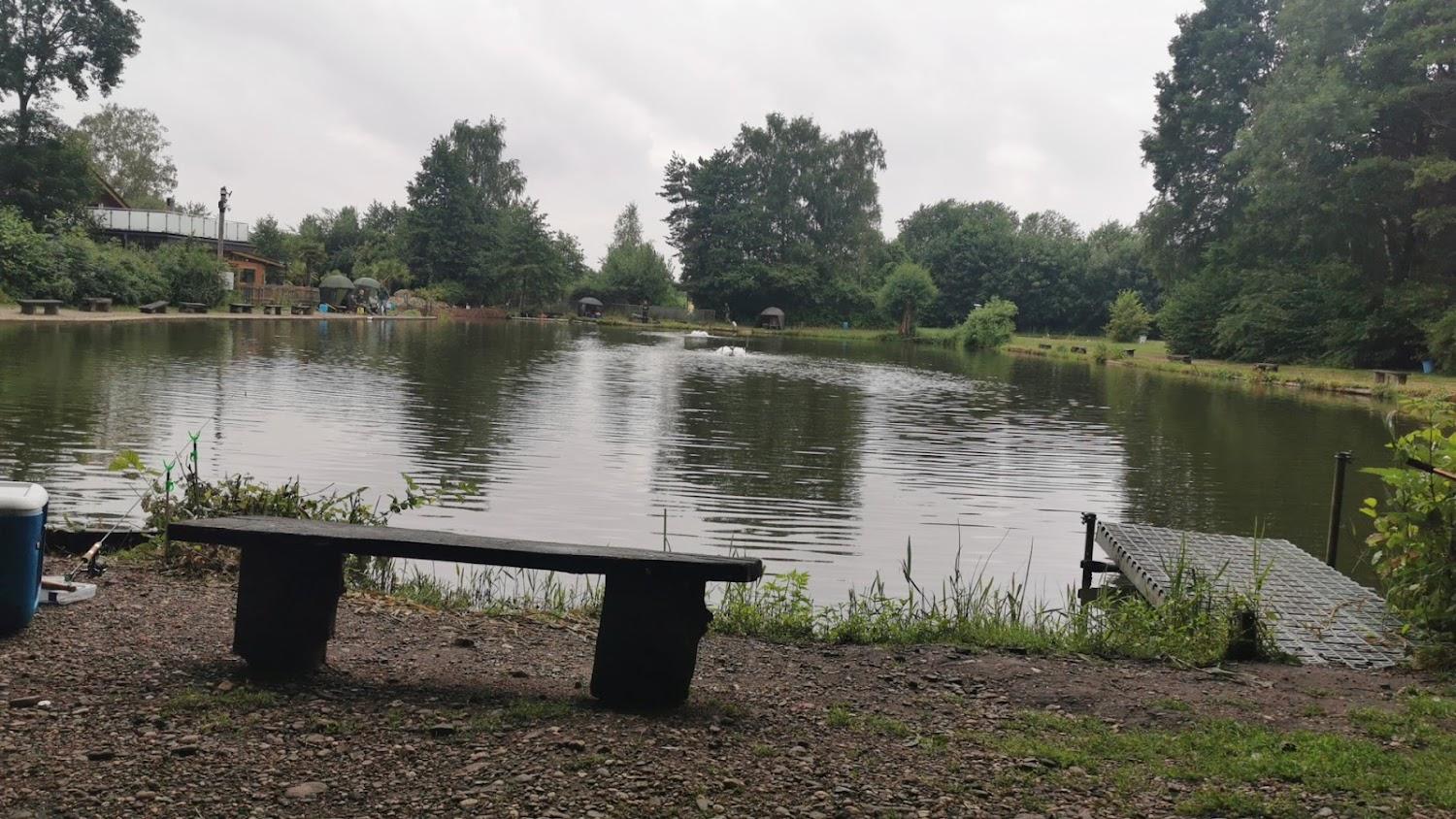 Cover Image for Fishing and Freizeithof Weseloh