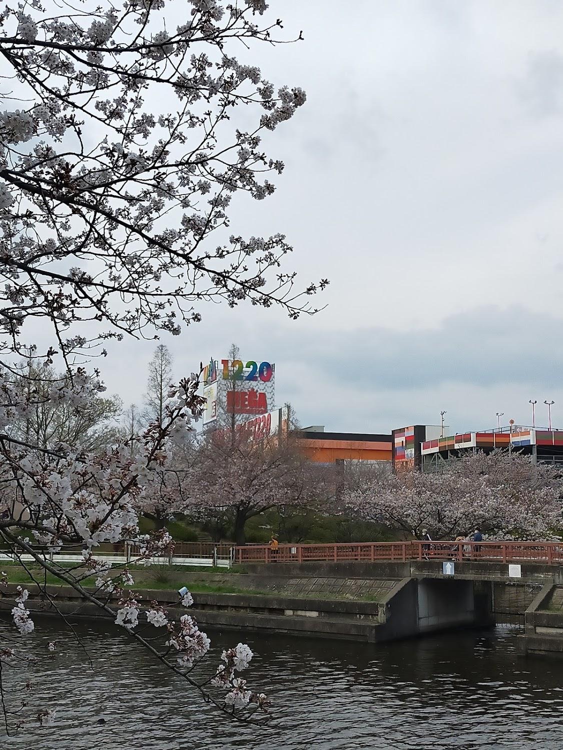 Cover Image for Arakogawa Park Day Campground