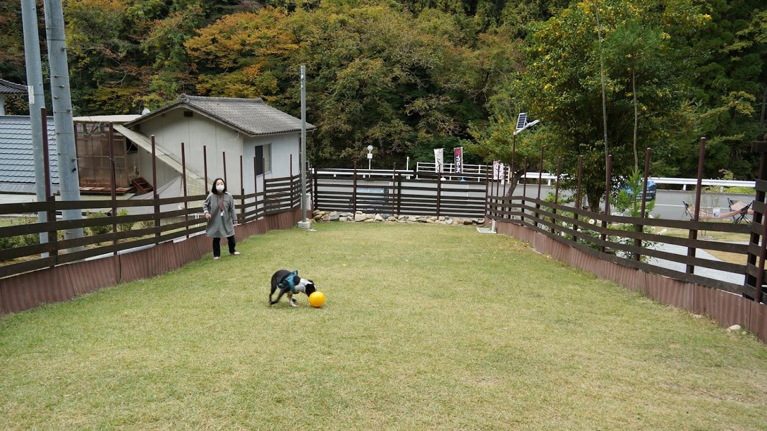 Cover Image for わんだぶる