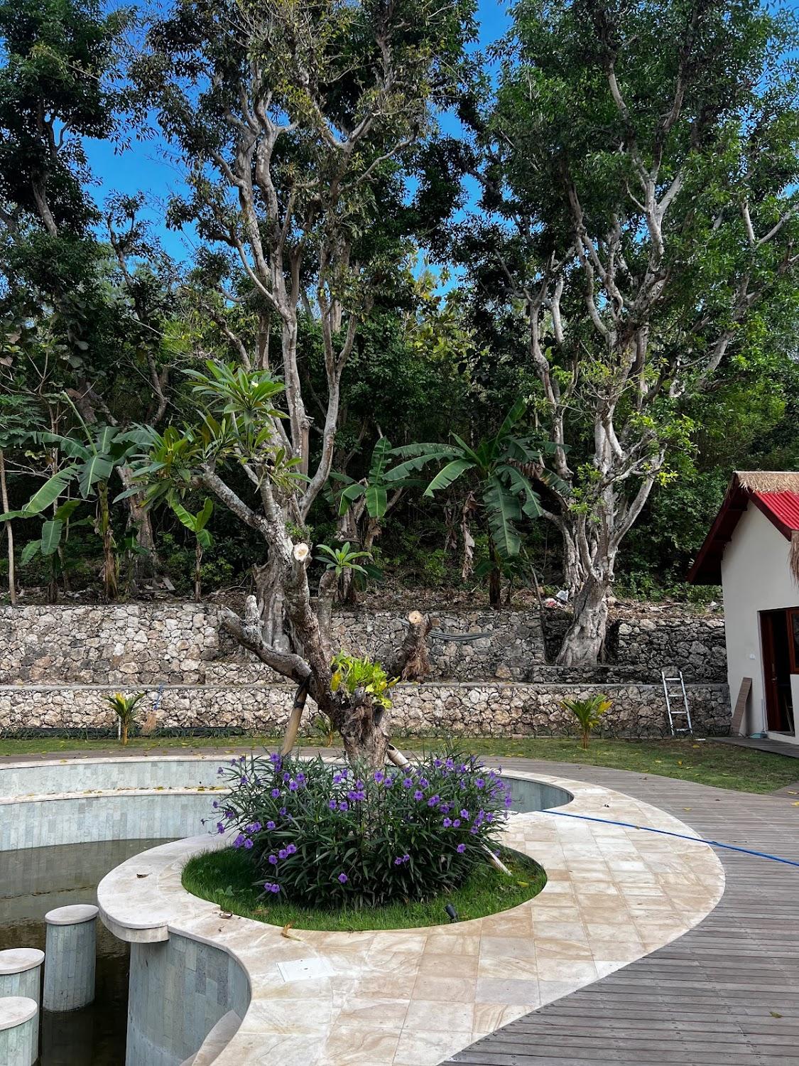 Cover Image for The Penida Project Hostel