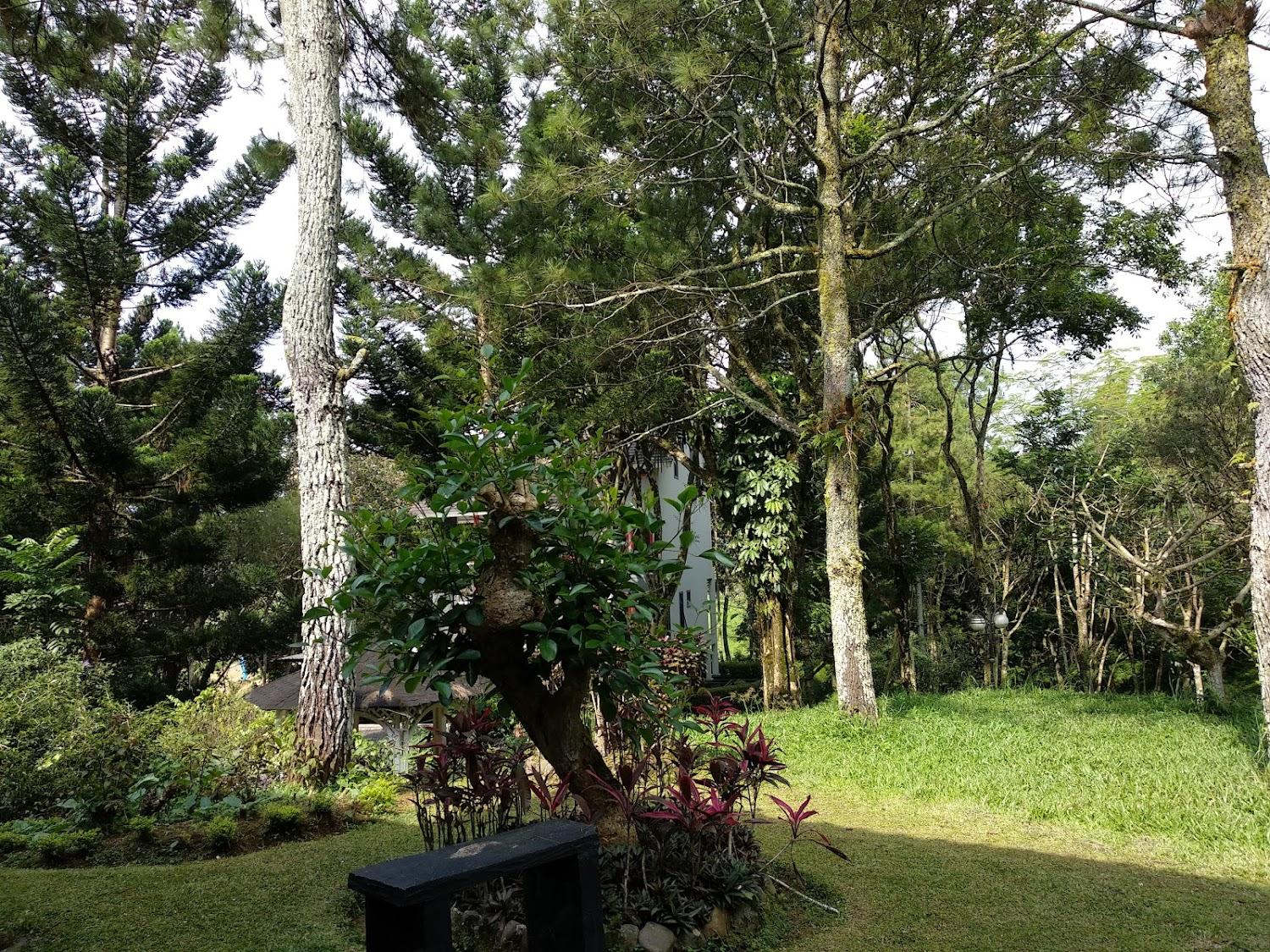 Cover Image for Kota Bunga Cipanas Villa & Resort