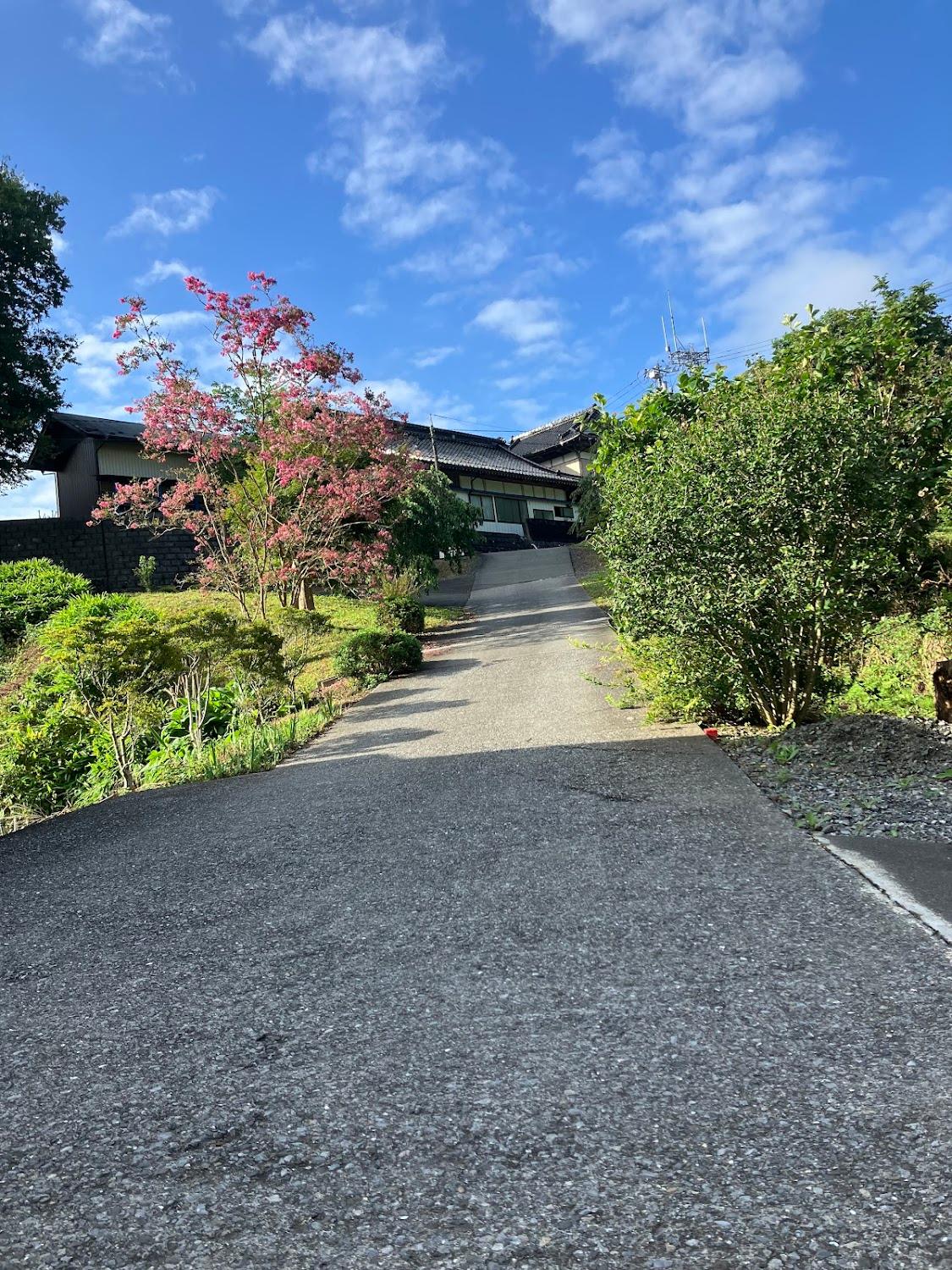 Cover Image for Hamanasu