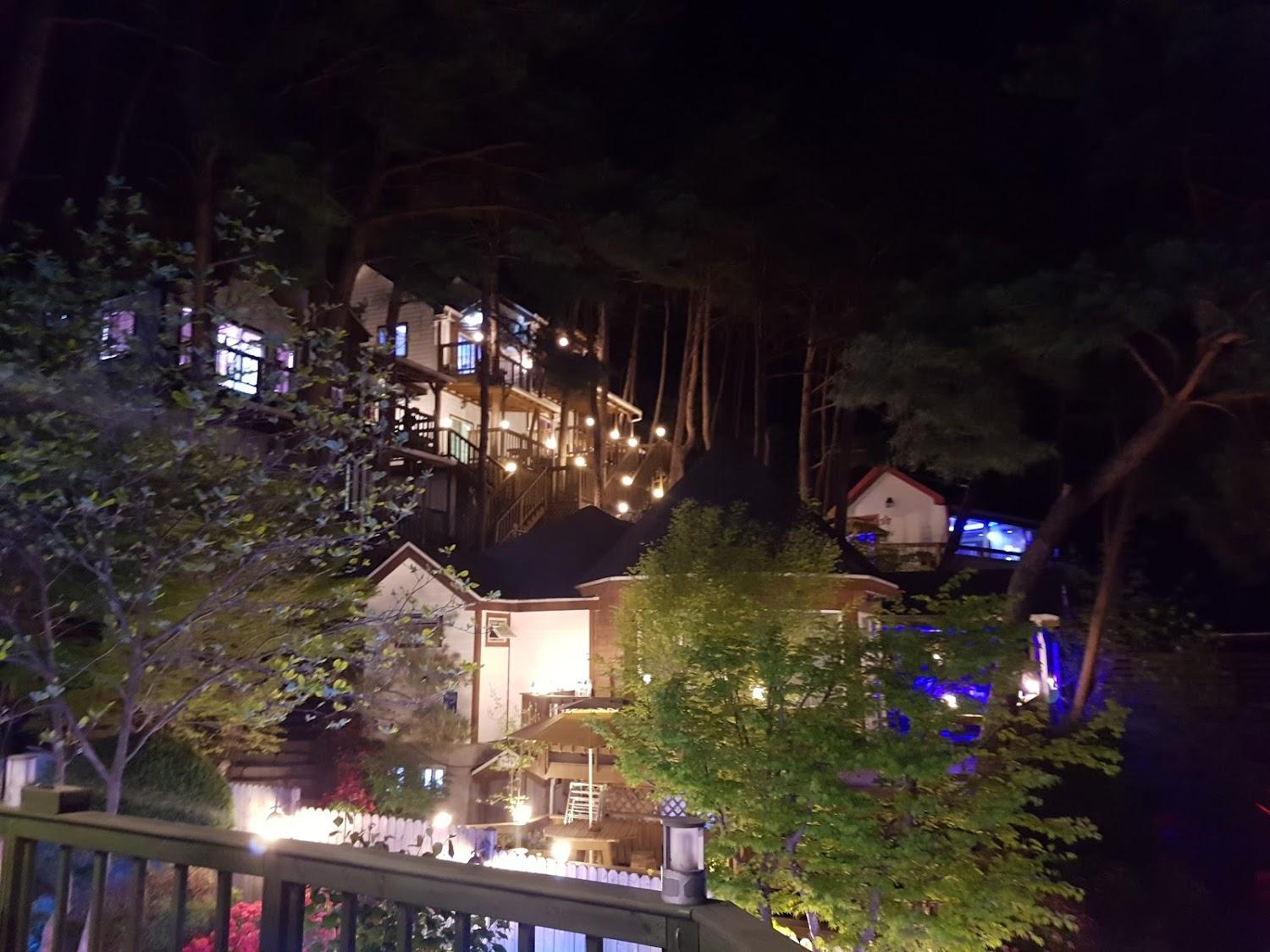 Cover Image for 숲속의초록별