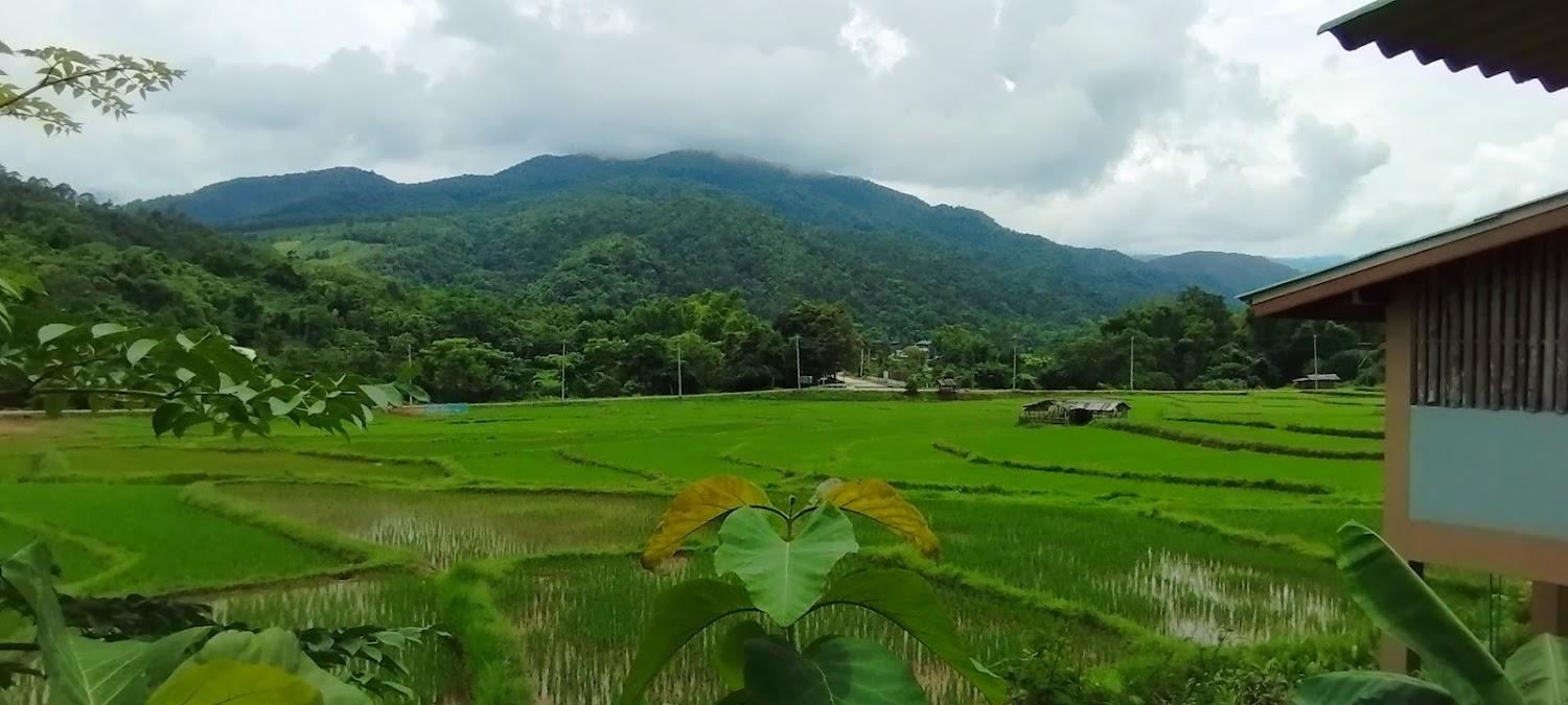 Cover Image for นากลางดอย Naklangdoi
