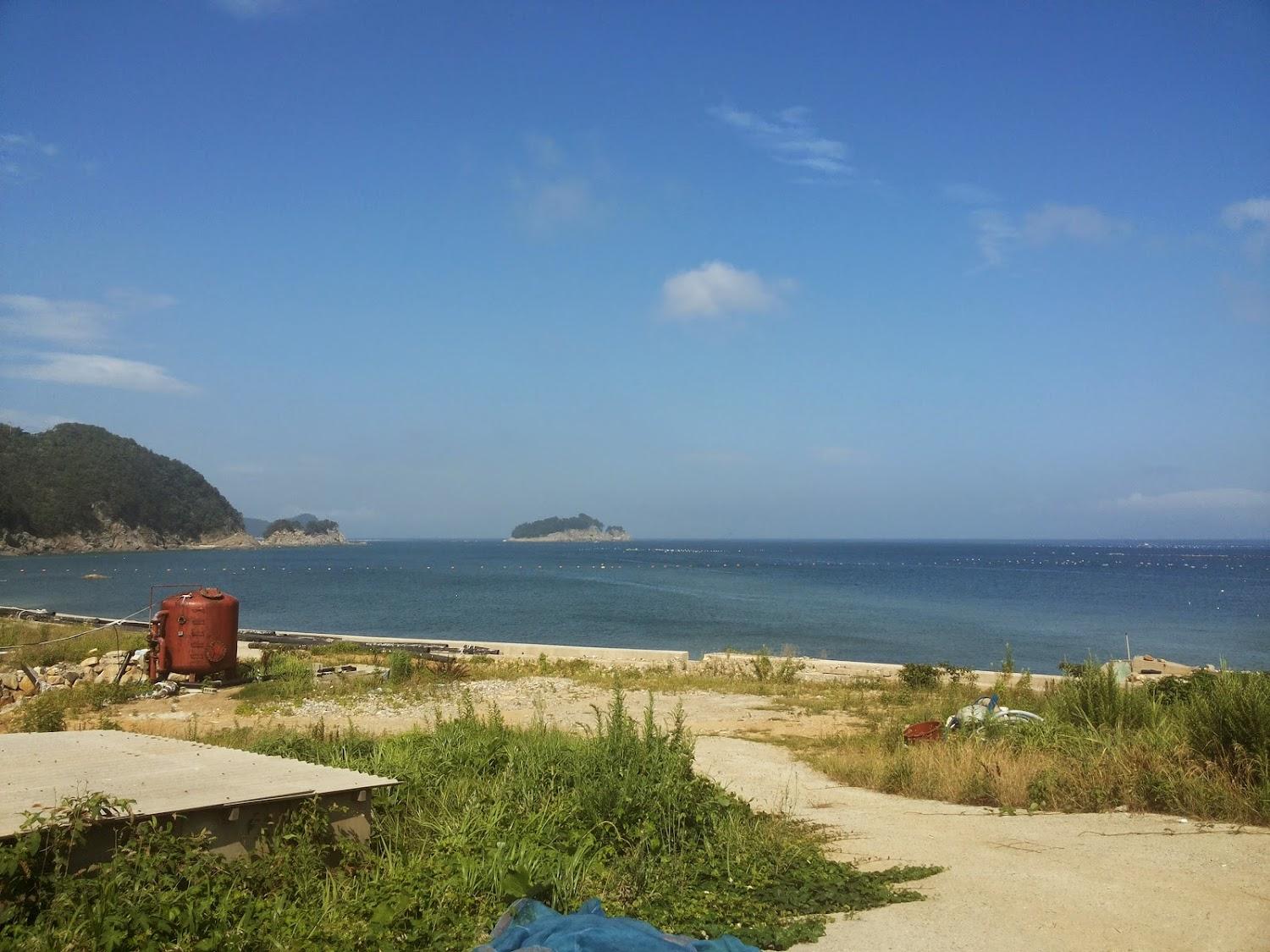 Cover Image for 바다의숲펜션