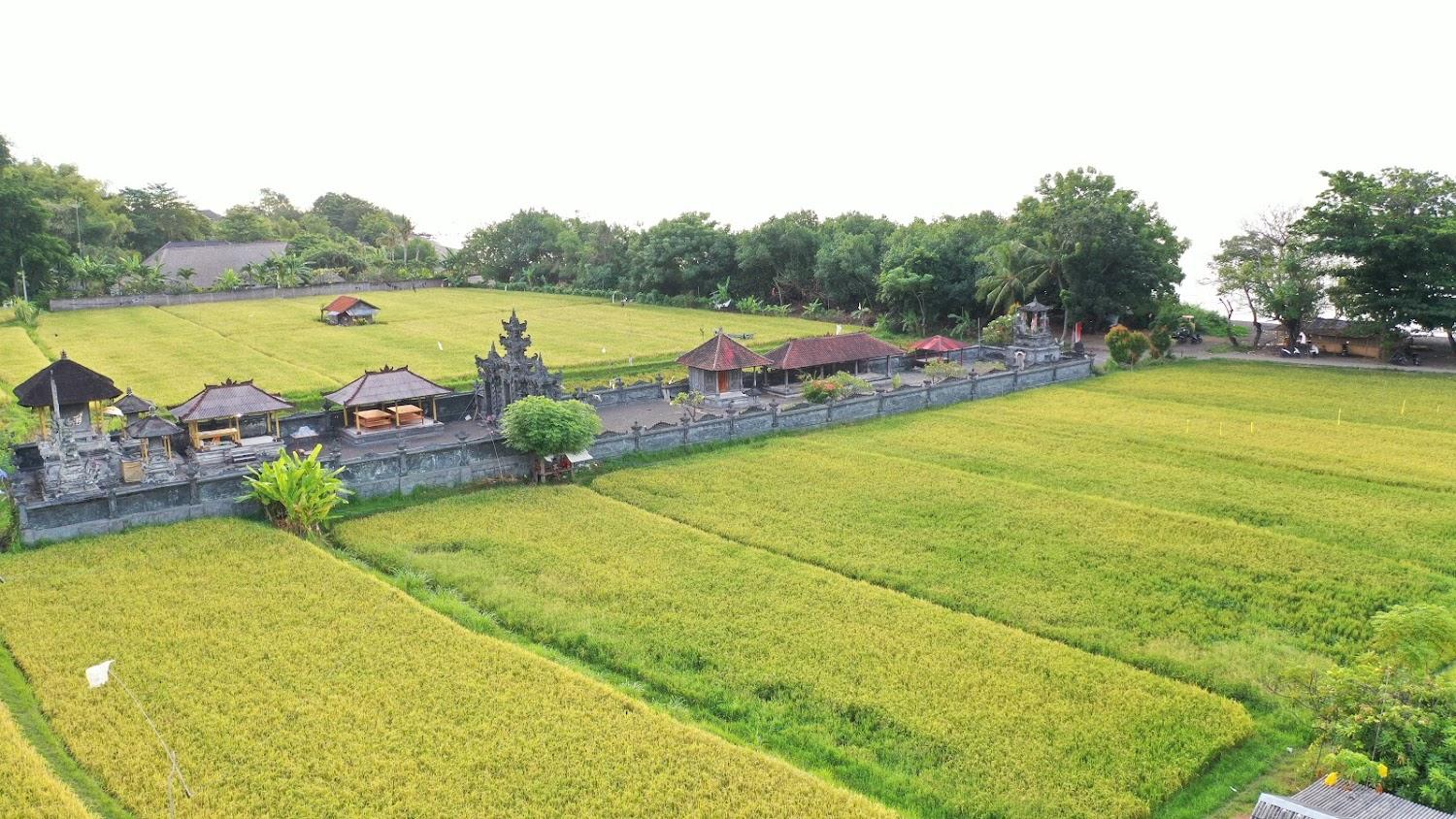 Cover Image for The View Villa Umeanyar