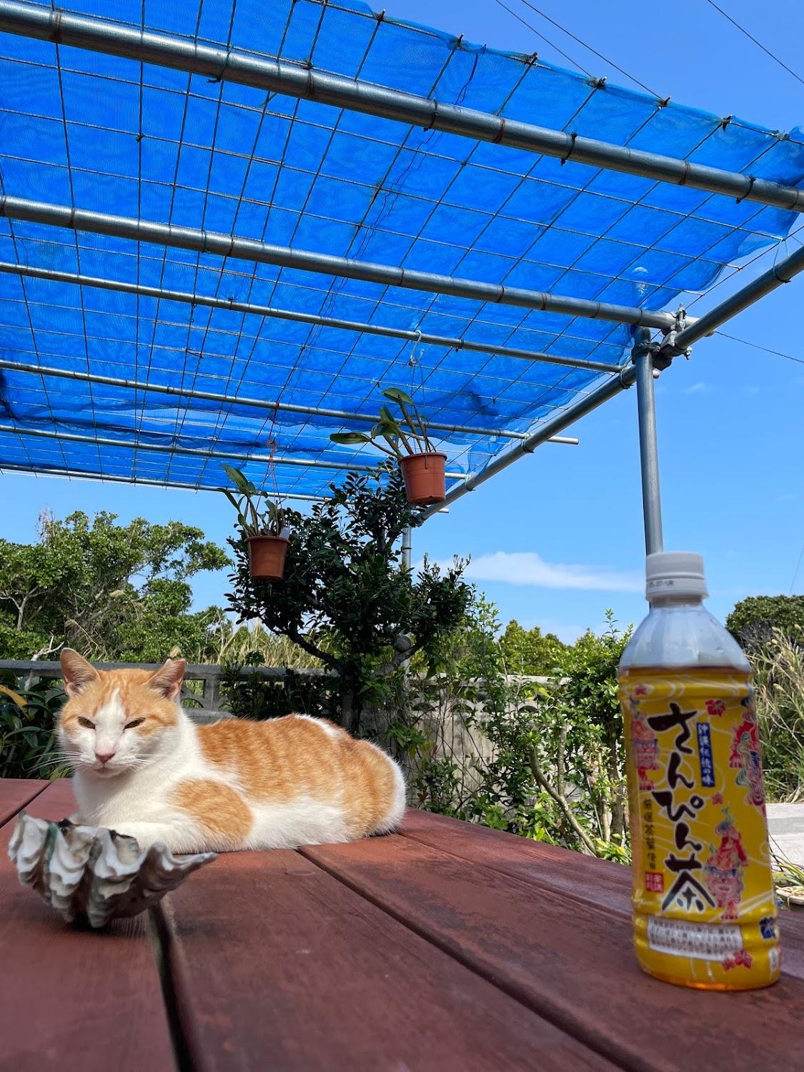 Cover Image for 小やどSAWA