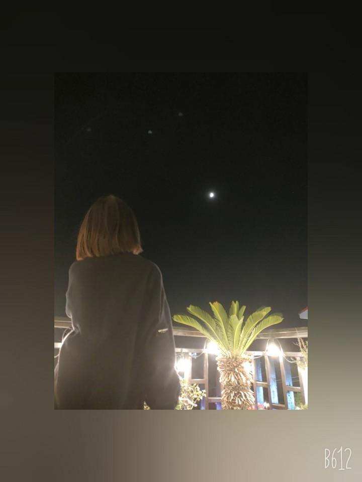 Cover Image for 플라워펜션