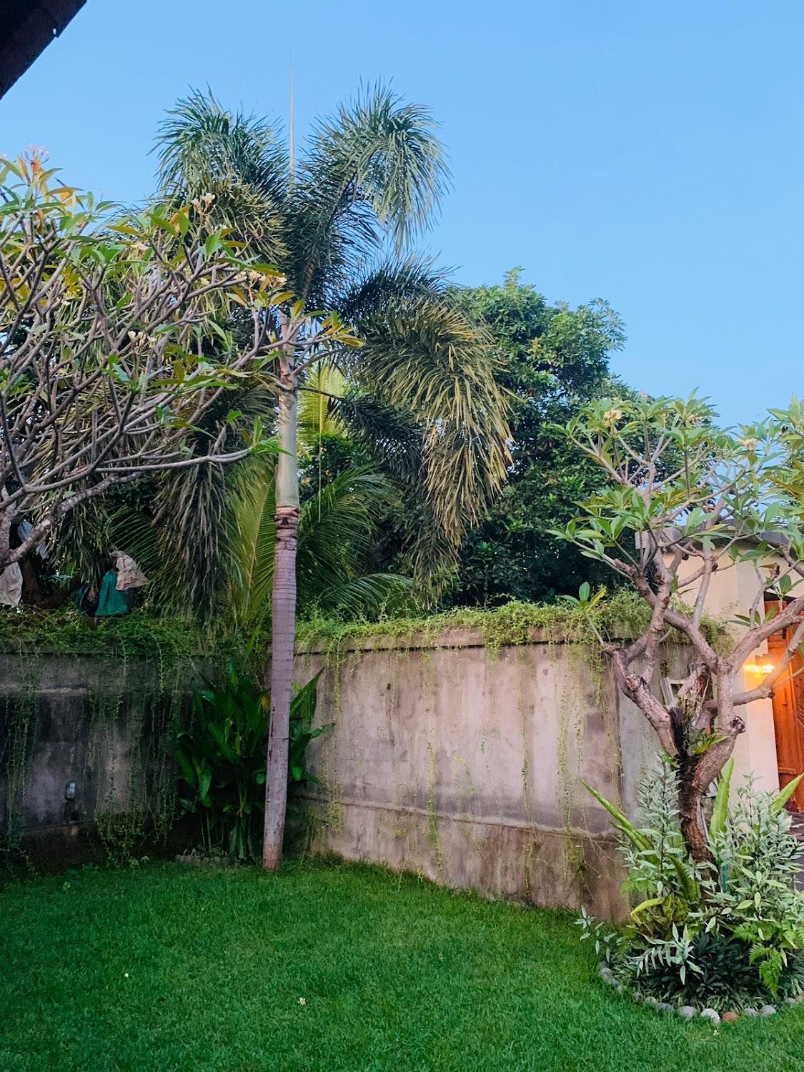 Cover Image for Gede House Tejakula