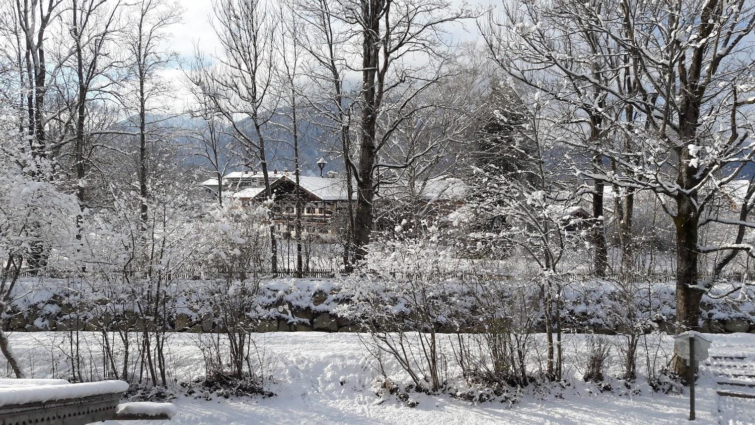 Cover Image for Schiffmann