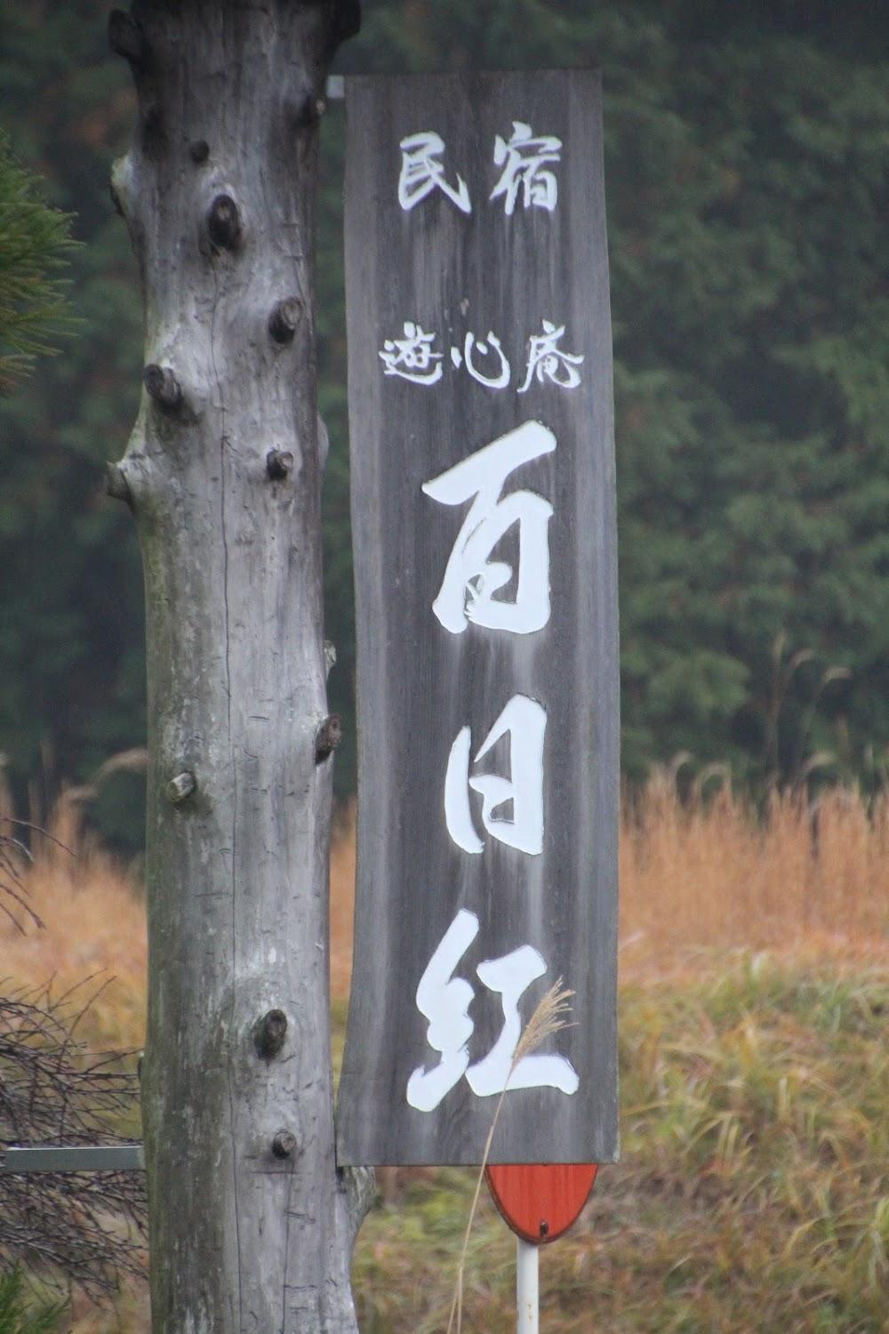 Cover Image for 百日紅