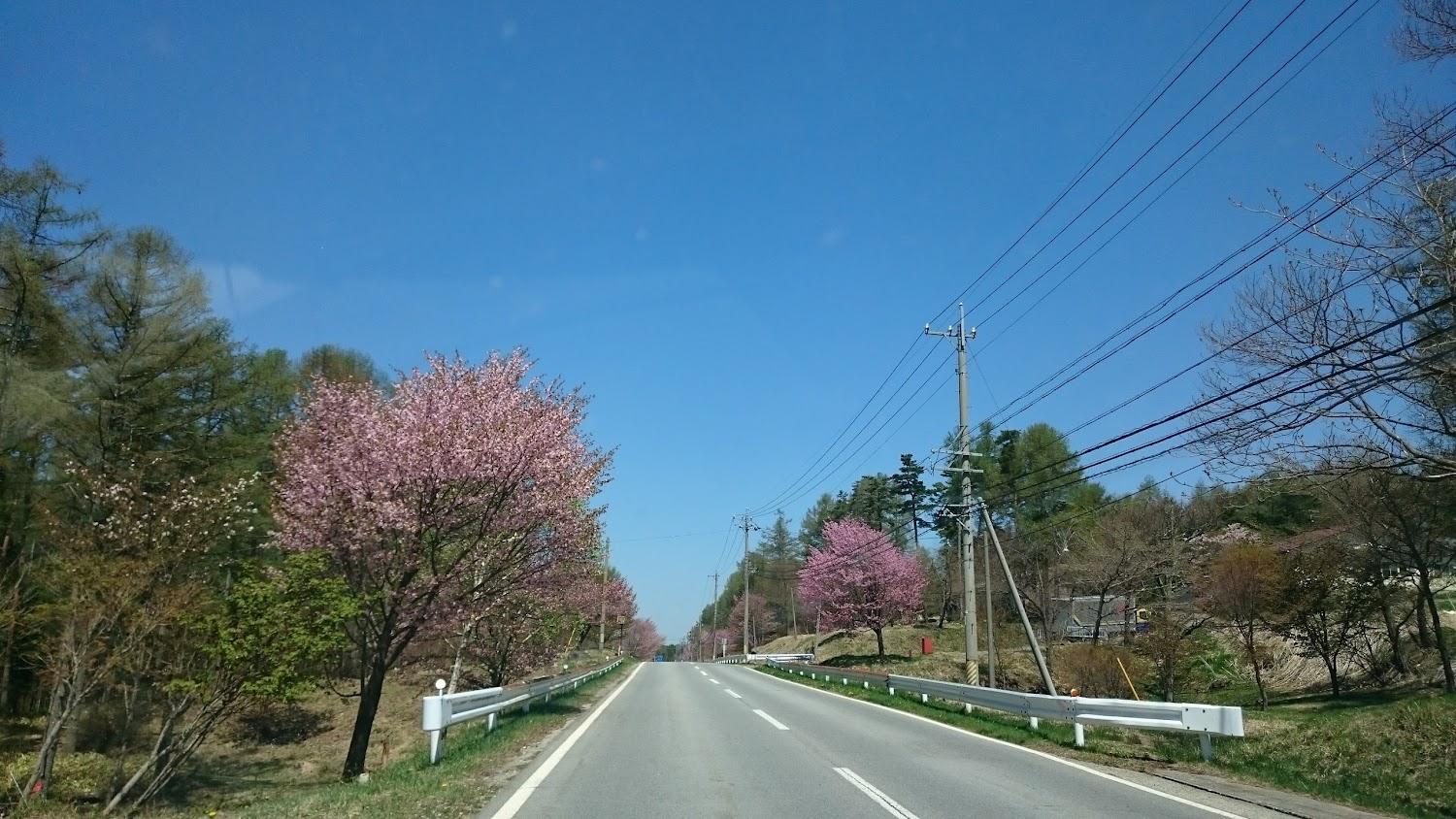 Cover Image for 多摩市立八ヶ岳少年自然の家