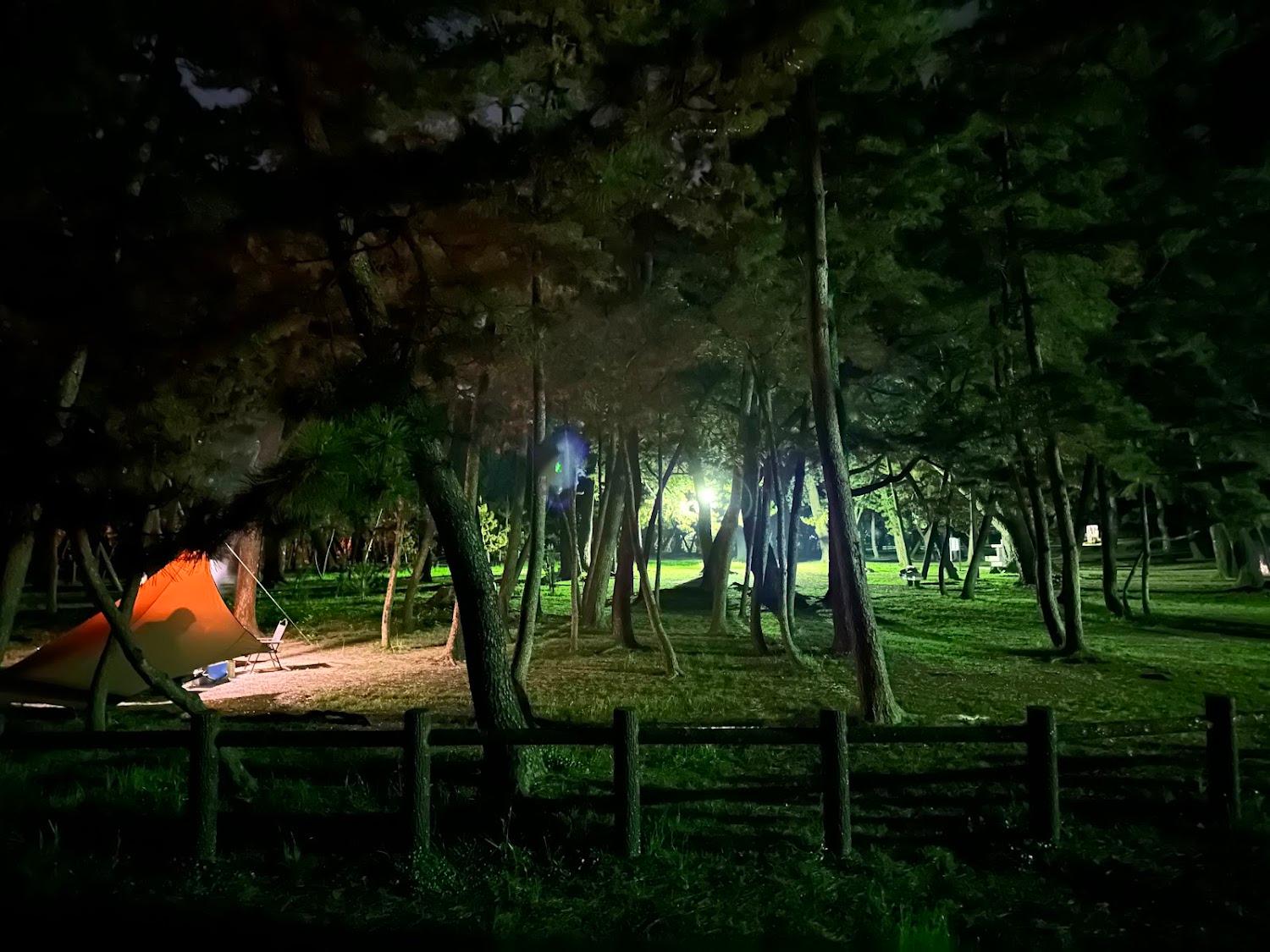 Cover Image for Tanezakisenmatsu Park Camping Ground