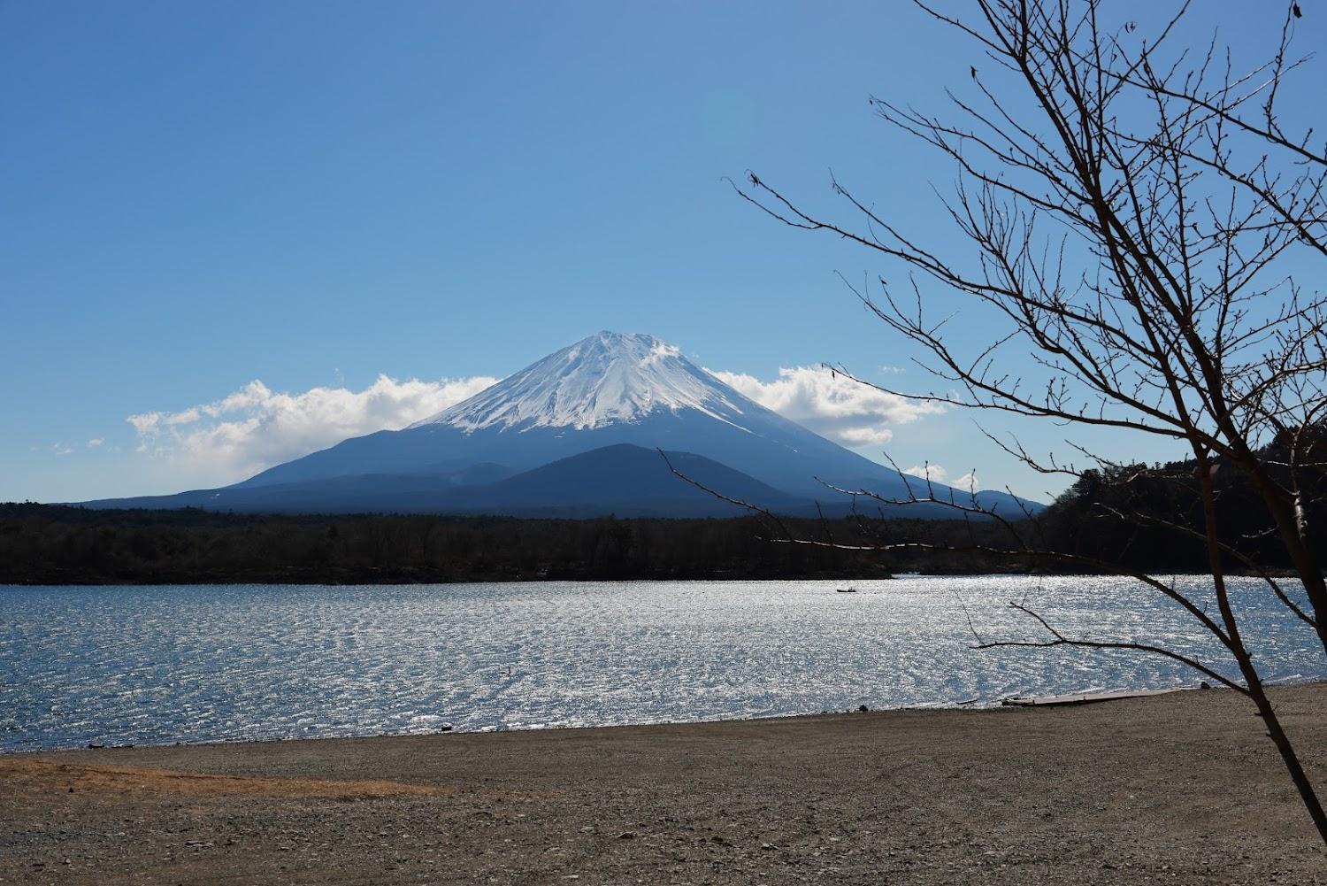 Cover Image for ふじみ荘