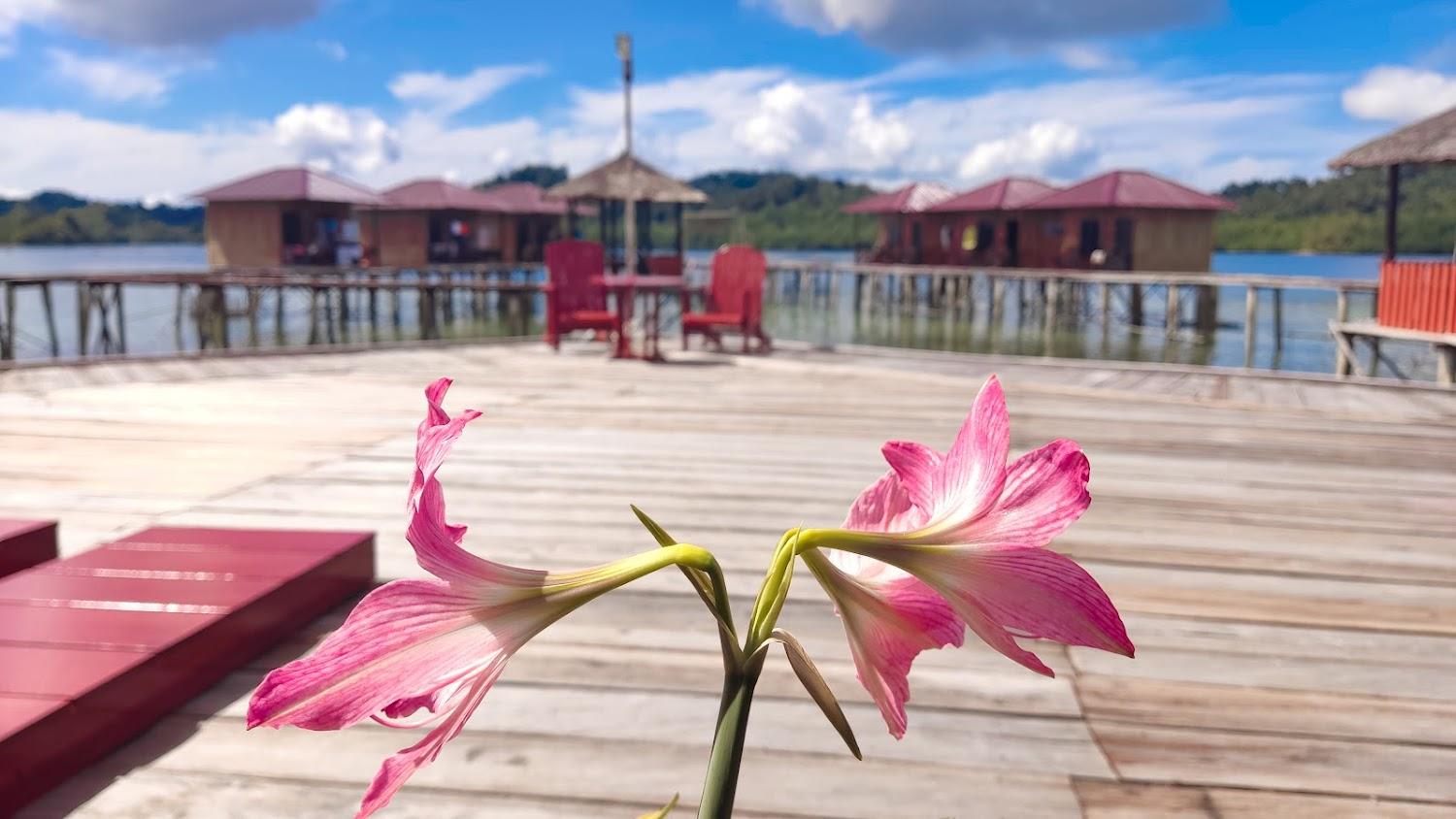 Cover Image for Wayaplyan Homestay