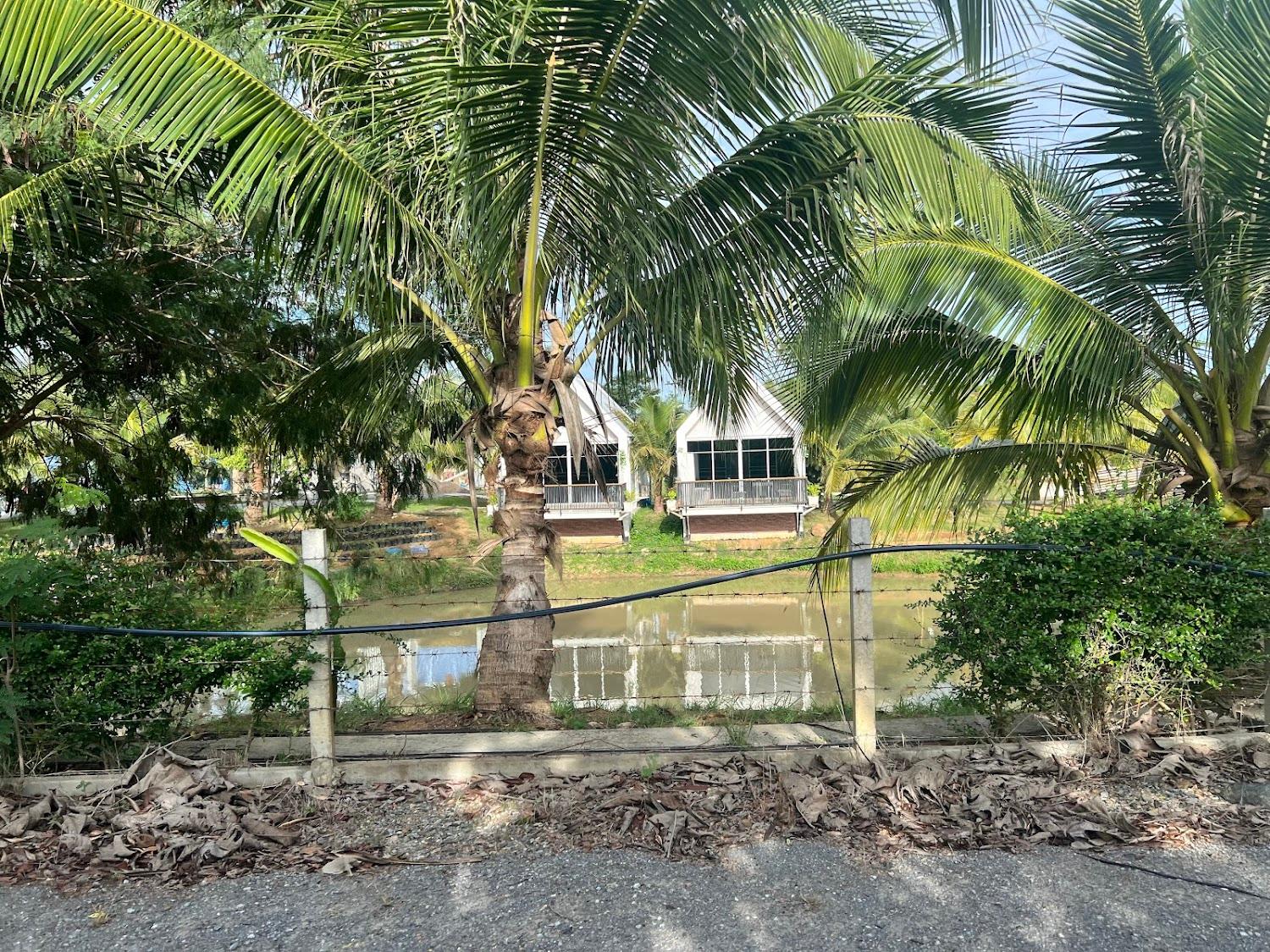 Cover Image for บ้านสวนมาดาม