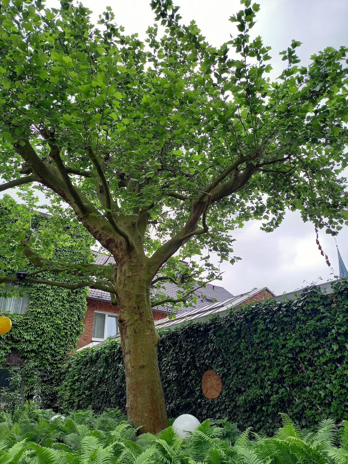 Cover Image for Poppenborg