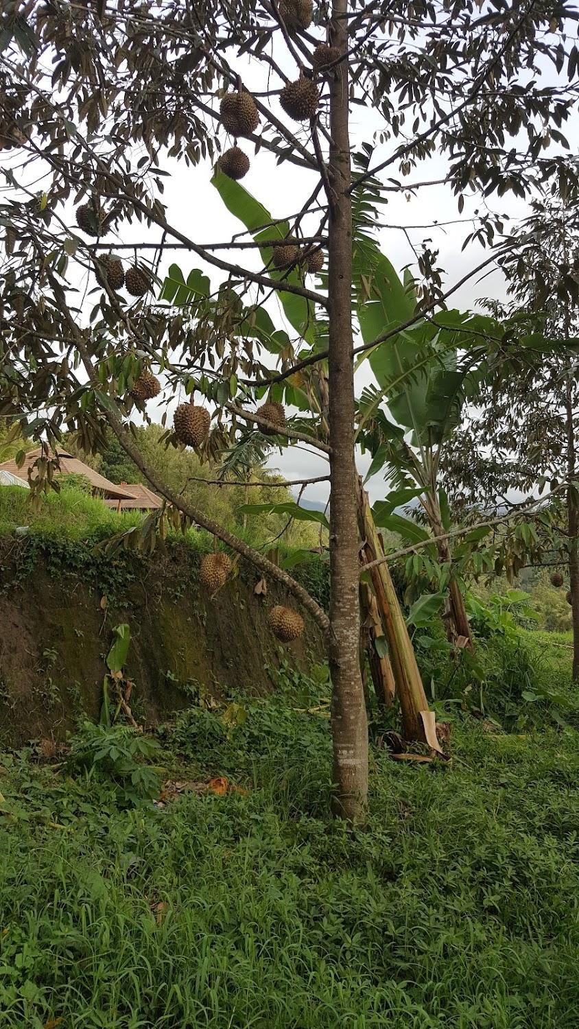 Cover Image for Villa Kukusan