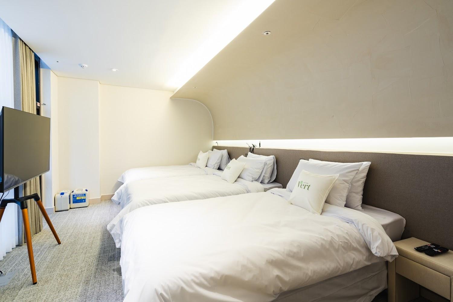 Cover Image for HOTEL VERT