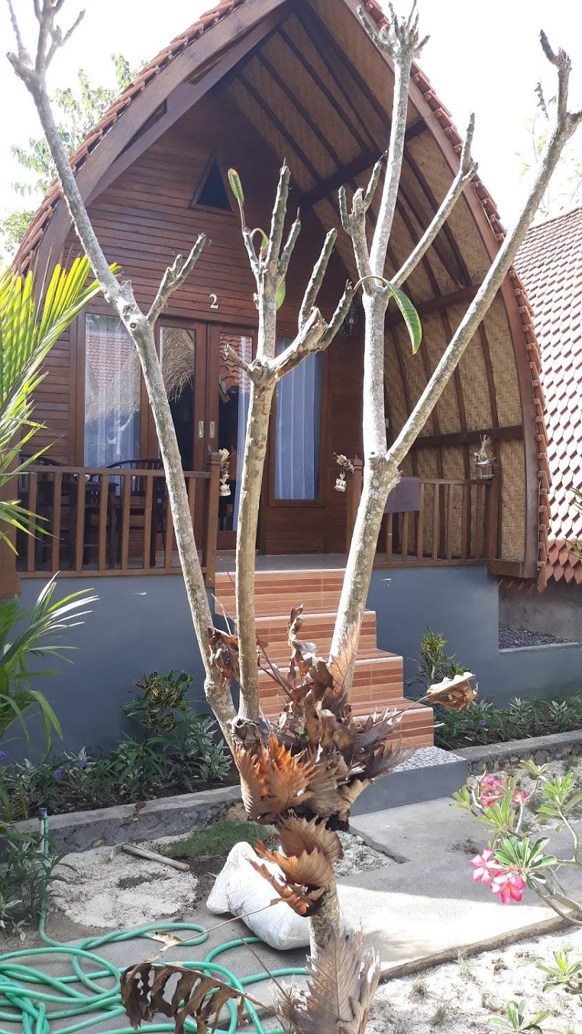 Cover Image for The Catar Cottage
