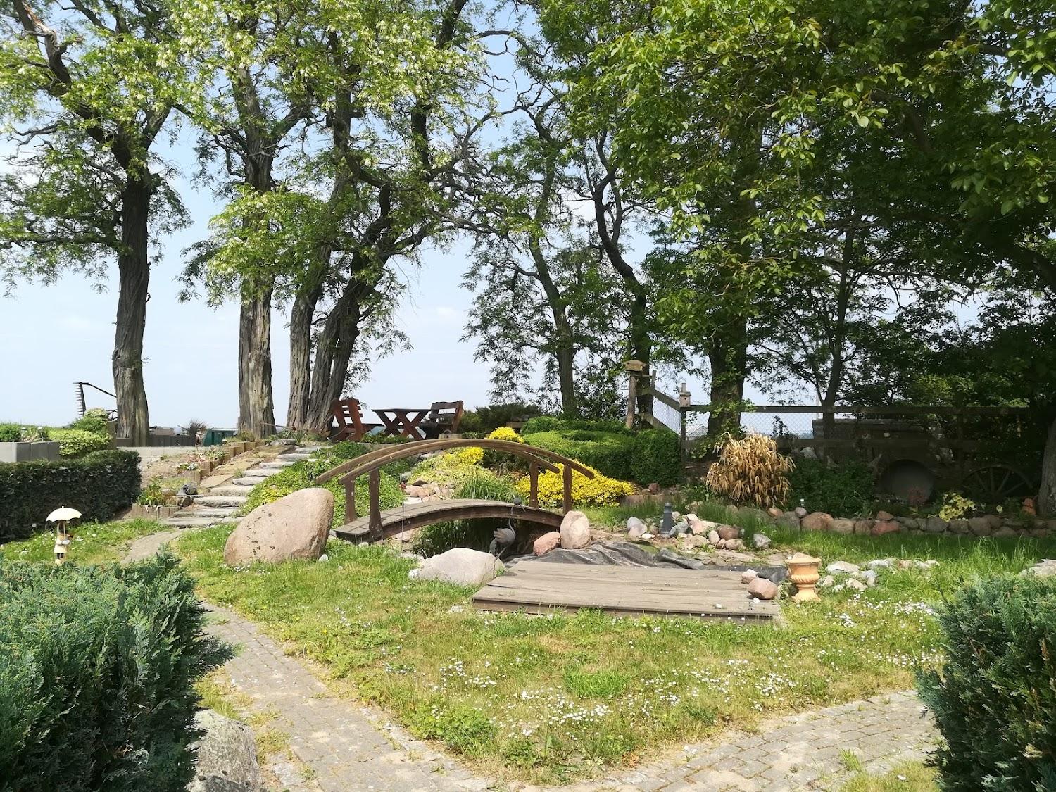Cover Image for Albrecht