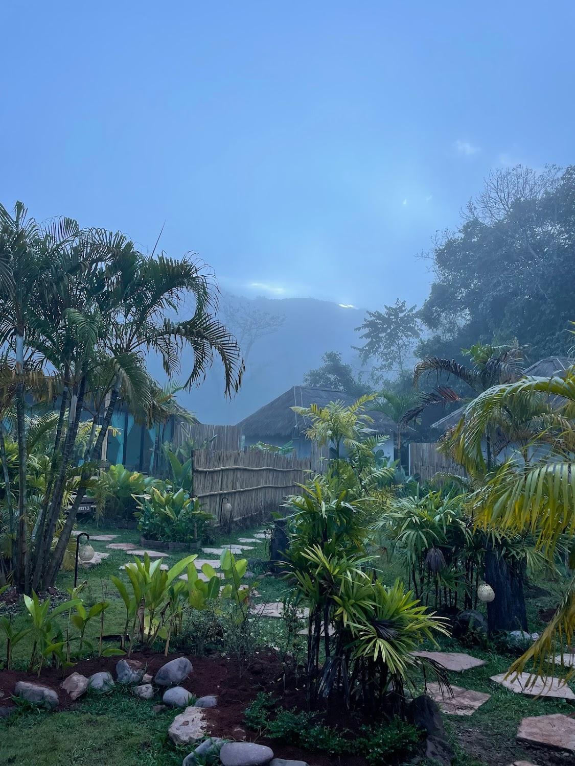 Cover Image for The Sapan Forest