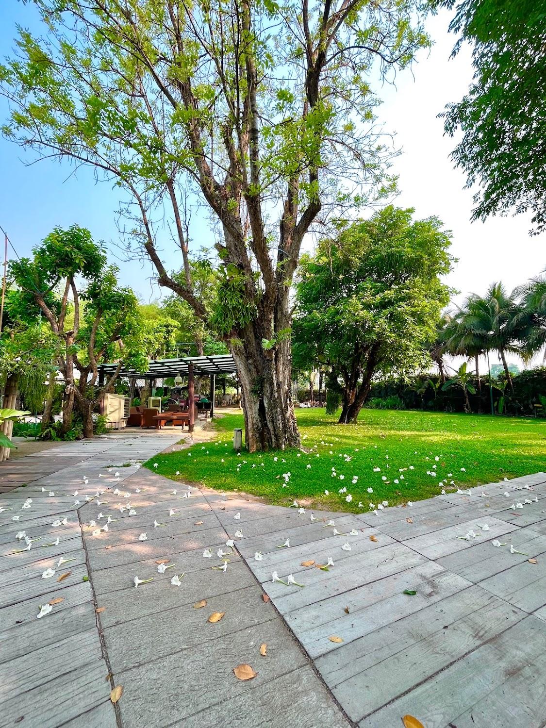 Cover Image for Rommai Green Park Boutique Hotel Resort