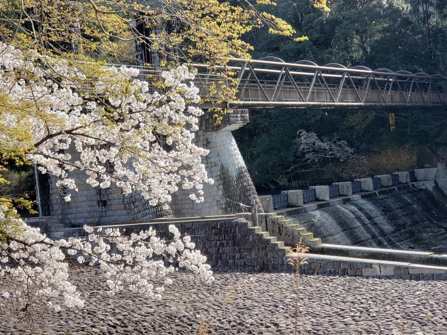 Cover Image for Omiyaseishonenryokoson Otakikyo Camping Ground