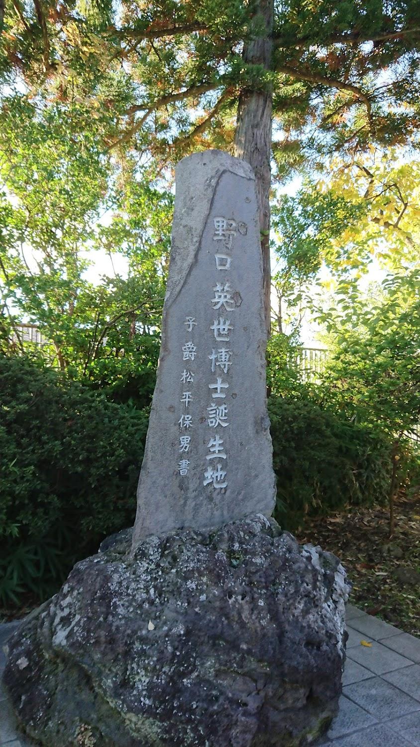 Cover Image for Miyashita Onsen Furusatoso