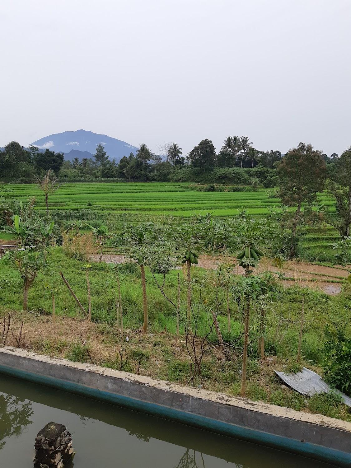 Cover Image for Bundo Kandung Hotel