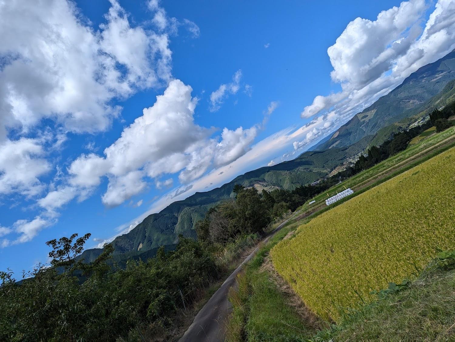 Cover Image for Mt. Ichifusa Campground