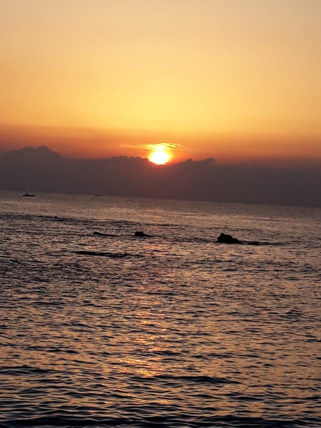 Cover Image for 동해안펜션