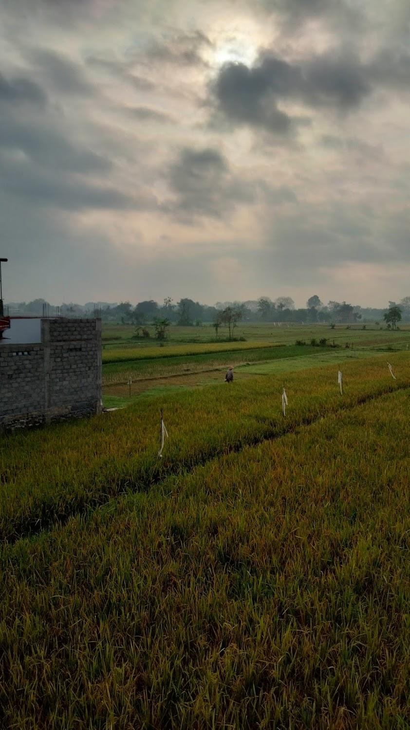 Cover Image for The Zenn by Villa kitta jogja