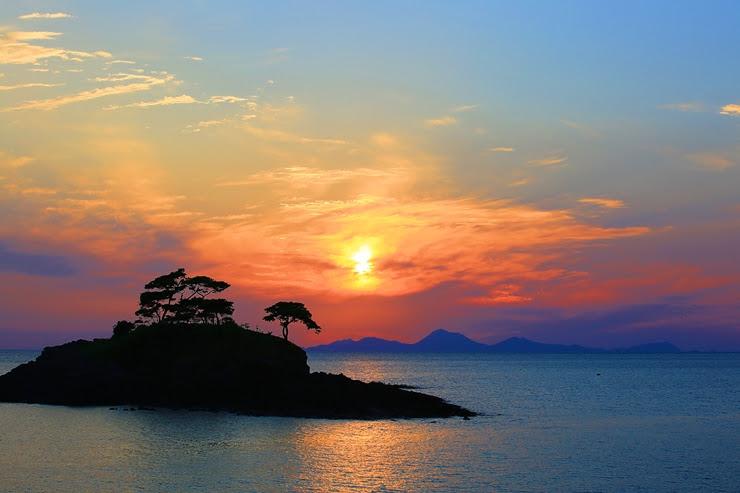 Cover Image for 솔섬하우스펜션
