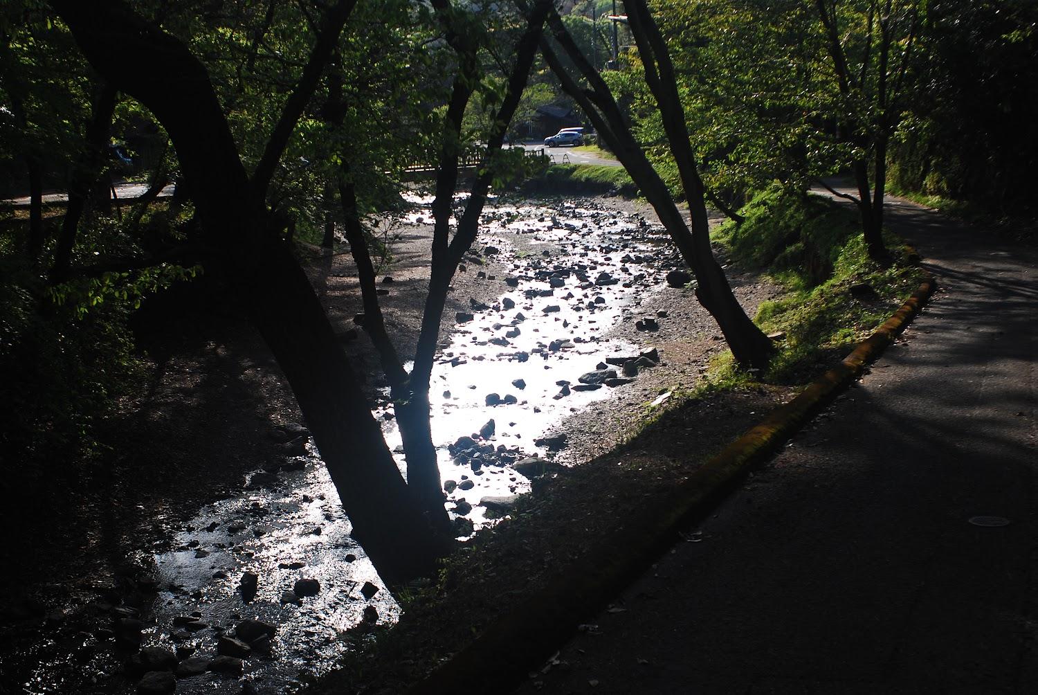 Cover Image for 山城町森林公園キャンプ場