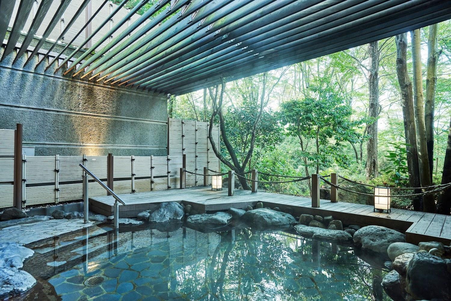 Cover Image for Tokyu Vacations Hakone Gora
