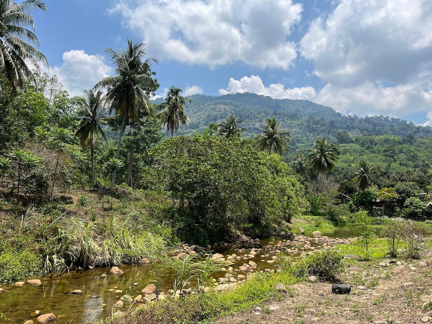 Cover Image for The Creek Haus ลานสกา